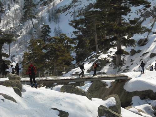 Fomation Sécurité Sur Le Milieu Montagnard Enneigé Corsica